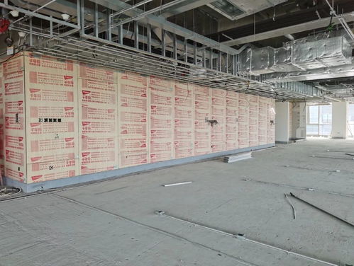 千年舟 綠色工程行 走進北京京東集團總部項目現(xiàn)場